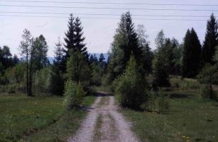 ... &uuml;ber Wiesen, ...