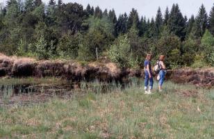 ... durch�s Moor, ...