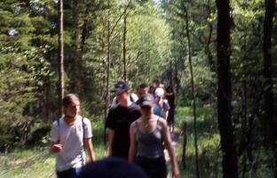 ... wieder durch den Wald, ...