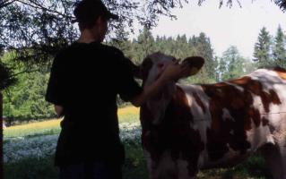 ... an K&uuml;hen vorbei, ...