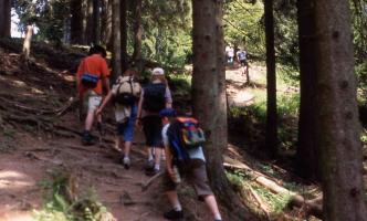 ... und Wurzelpfaden ...