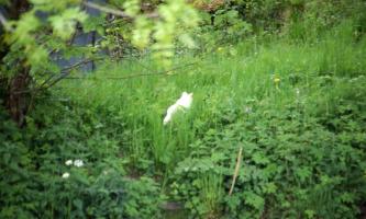 F&uuml;r Trixi und Katrin und B&auml;rbel und Moritz