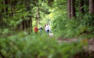 Sonntags beim Gel&auml;ndespiel