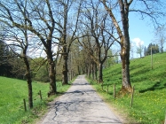 Wanderung zu den Schleierf&auml;llen 10