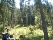 Wanderung zu den Schleierf&auml;llen 16