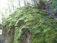 Wanderung zu den Schleierf&auml;llen 26