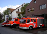 Frisch geputzt stehen sie da, sch&ouml;n gell?