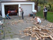 Es waren immerhin ca.25 St&uuml;ck.