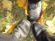 Bild Schnelligkeits&uuml;bung 3